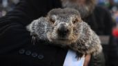 ¿Cuánto más durará el invierno? Esto fue lo que predijo Phil en el Día de la Marmota