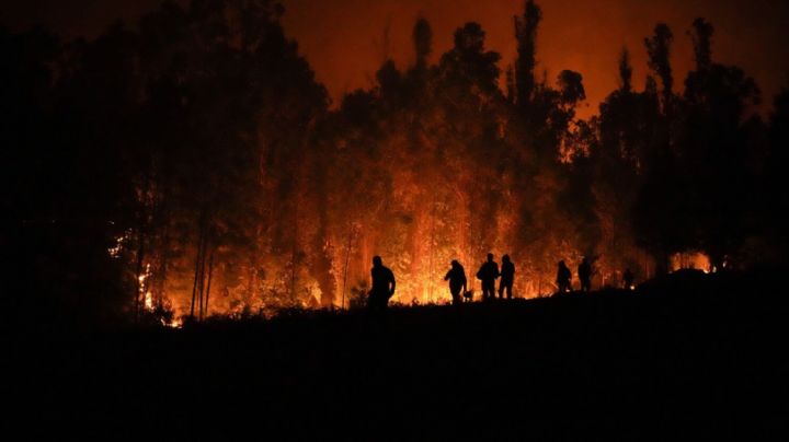 Chile: Incendios han causado muerte de 24 personas