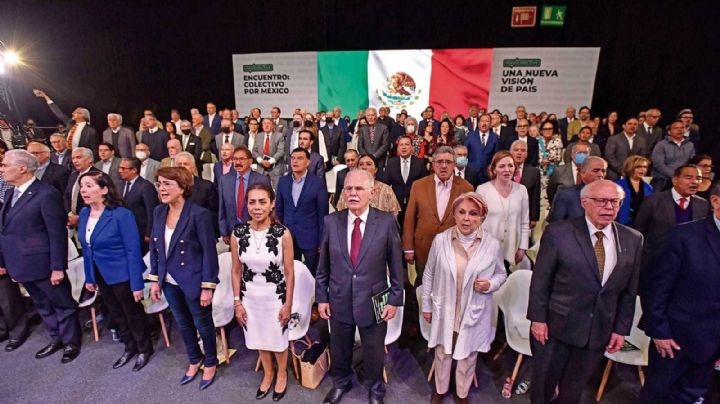 Mexicolectivo: La marcha del ingeniero