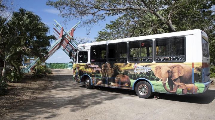 Cuba detecta presencia de influenza aviar y cierra zoológico