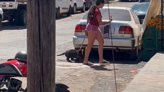 La Profepa asegura un jaguar negro que era paseado por calles de Tepatitlán (Video)