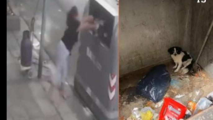 Una mujer fue captada tirando a su perro a la basura