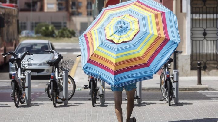 Google incorporará en su buscador alertas por calor extremo