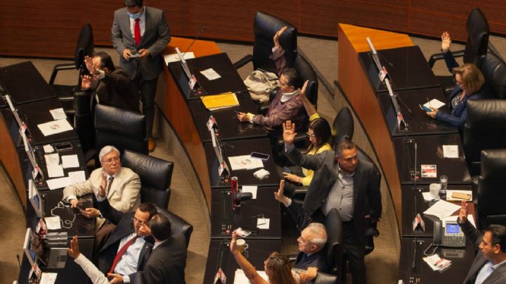 Juez federal frena la elección de consejera del INAI en el Senado