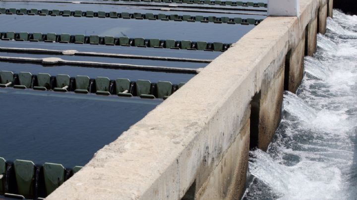 La CDMX padecerá una “sequía muy severa” de agua potable estos tres meses