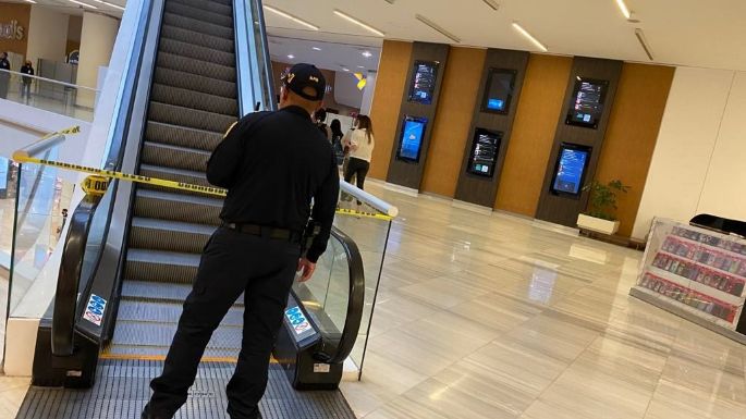 Ejecutado en Plaza Carso era presunto integrante del cártel de los Arellano Félix