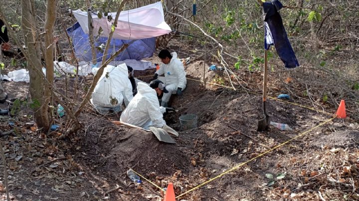 Hallan en Tecomán diez fosas clandestinas y recuperan 26 cuerpos y restos óseos