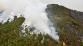 Incendio arrasa con parajes del Carrizal y Tilia de Tapalpa, Jalisco; 260 personas fueron evacuadas