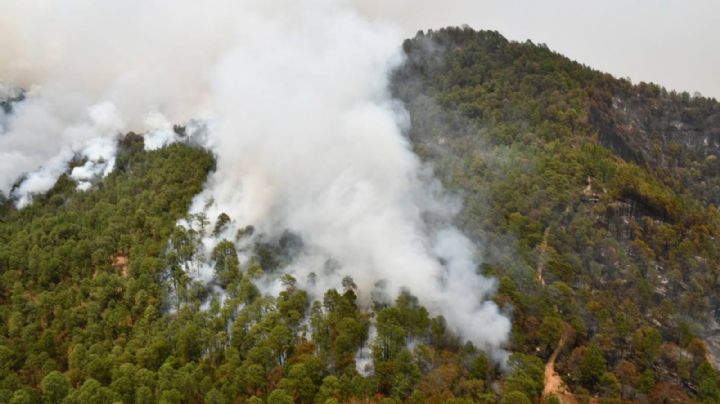 Incendio arrasa con parajes del Carrizal y Tilia de Tapalpa, Jalisco; 260 personas fueron evacuadas