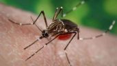 Confirman 35 nuevos casos de dengue en Oaxaca