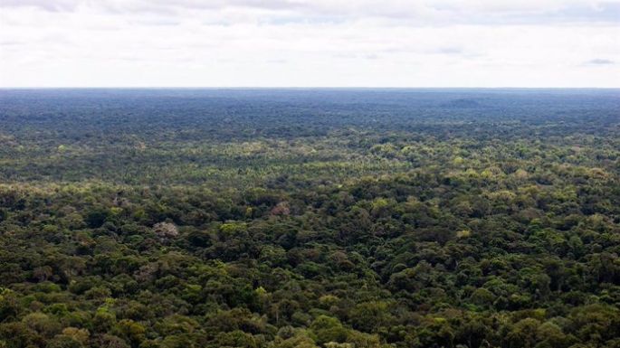 Encontrados con vida tres niños y un bebé desaparecidos hace más de dos semanas en la selva