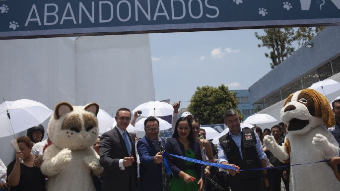 Arranca en la Cuauhtémoc el primer Hotel para Perros y Gatos Abandonados de la CDMX