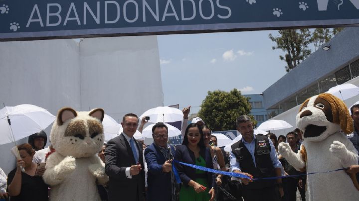 Arranca en la Cuauhtémoc el primer Hotel para Perros y Gatos Abandonados de la CDMX