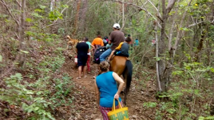 Miles de personas de 12 comunidades de Chiapas huyen de la violencia y el crimen organizado
