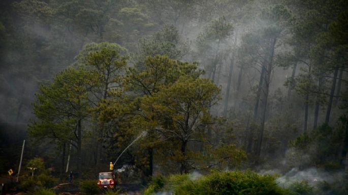 Jalisco ocupa el primer lugar en México con la mayor superficie forestal quemada: Conafor