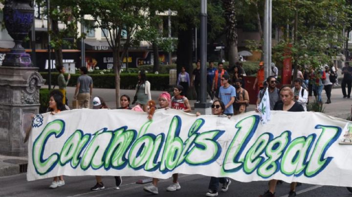 Marchan a favor de la legalización de la mariguana