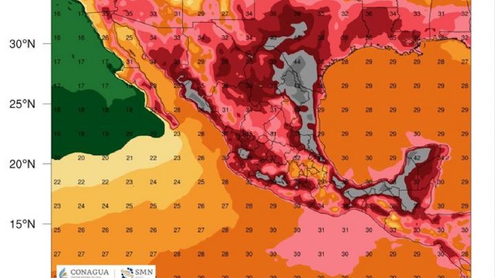 Las altas temperaturas ya provocaron 21 muertes en Tamaulipas