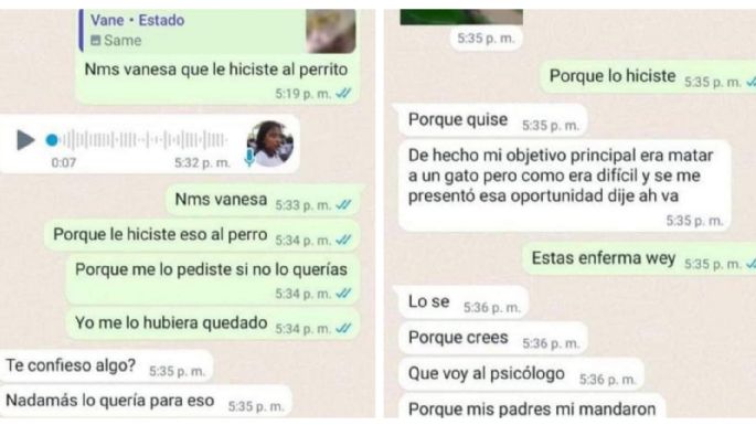 Adolescente presume en WhatsApp que adoptó un cachorro para torturarlo y matarlo