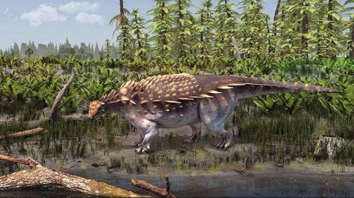 Nueva especie de dinosaurio acorazado descubierto en Inglaterra