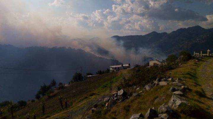 Por incendio forestal, suspenden clases presenciales y evacúan localidades en Zacatlán (Video)