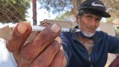El fentanilo se adueña de las calles de Baja California