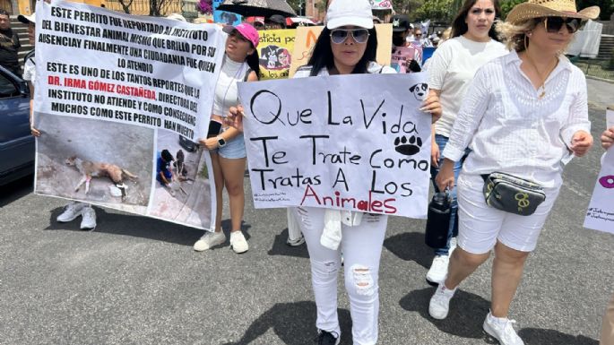 Marchan en Puebla contra el maltrato animal