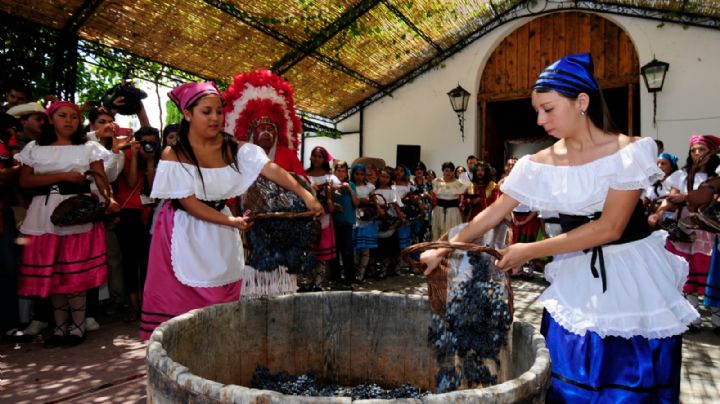 Productores vinícolas mexicanos esperan alza de 20% en fabricación de vinos para 2023