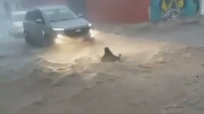 Rescatan a niña arrastrada por la corriente tras fuertes lluvias en Teotihuacán (Video)