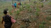 Grupo armado atacó a indígenas desplazados de Chenalhó, Chiapas; hay siete muertos y tres heridos