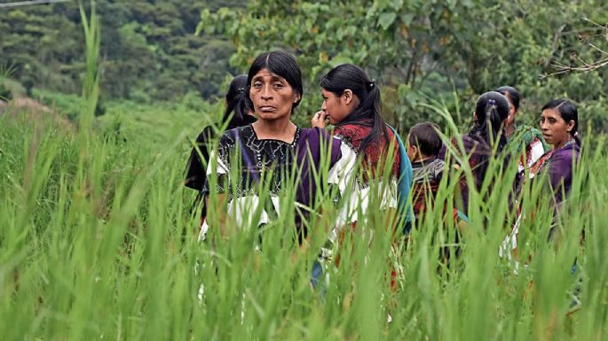Desapariciones y cientos de desplazados tras la batalla de Lajerío en Chiapas