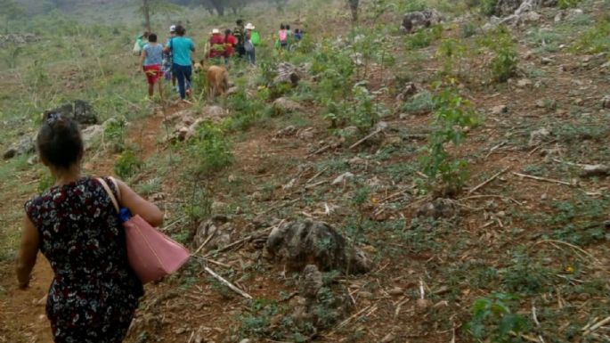 Grupo armado atacó a indígenas desplazados de Chenalhó, Chiapas; hay siete muertos y tres heridos