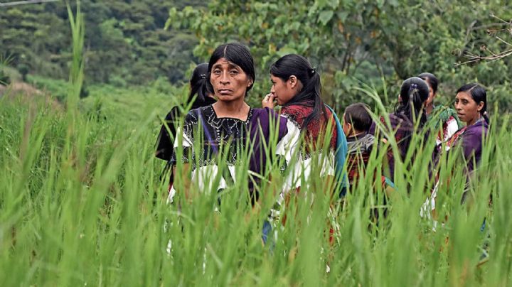 Desapariciones y cientos de desplazados tras la batalla de Lajerío en Chiapas