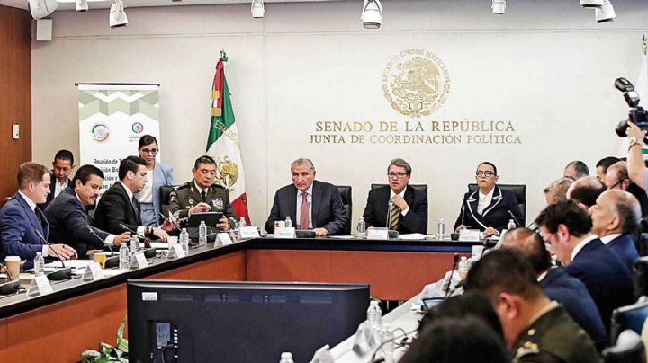 El Gabinete de Seguridad “queda a deber” en su informe al Senado