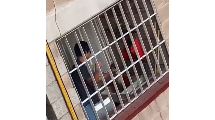 Joven da golpiza a un gato en la CDMX; ya rescataron al animal (Videos)