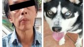 Detienen a hombre por golpear con cadena a un perro Husky Siberiano en calles de Cuauhtémoc