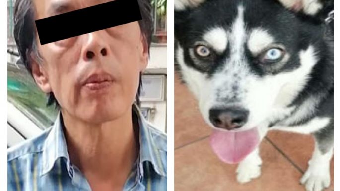 Detienen a hombre por golpear con cadena a un perro Husky Siberiano en calles de Cuauhtémoc