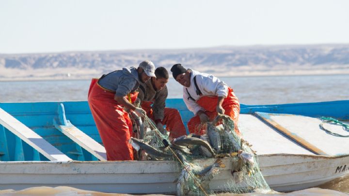 EU no sancionará a México por la falta de combate a la pesca ilegal
