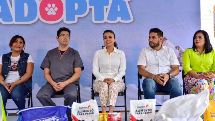 Reaparece la alcaldesa de Chilpancingo; confirma que fue entrevistada por la FGR