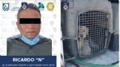 Ricardo asesinó a tres perros cachorros con un hacha en 2021; fue sentenciado a cuatro años de prisión