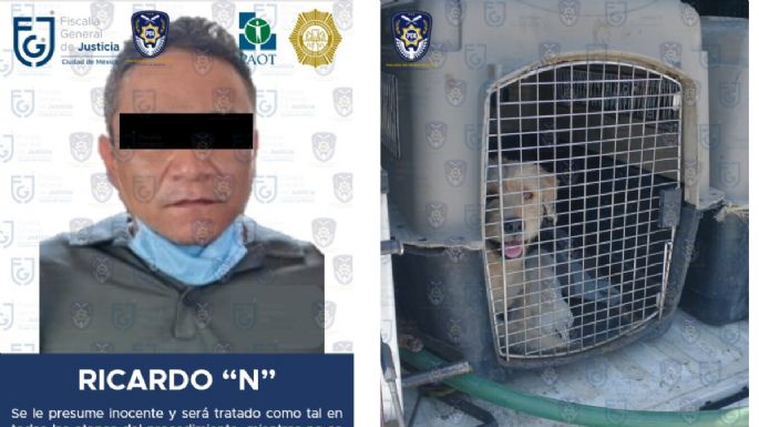 Ricardo asesinó a tres perros cachorros con un hacha en 2021; fue sentenciado a cuatro años de prisión