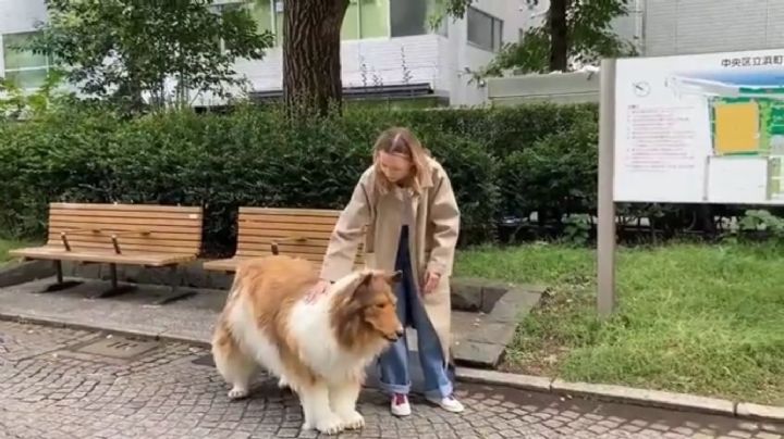 Japonés gastó 15 mil dólares en un disfraz de perro y salió a pasear en público