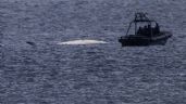 Hong Kong promete medidas tras muerte de ballena