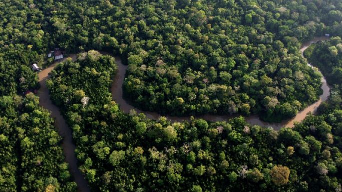 La Amazonía vuelve a estar en una situación de sequía grave, y antes de lo esperado