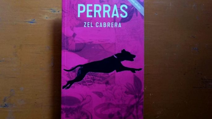 Zel Cabrera y el plano poético de Perras