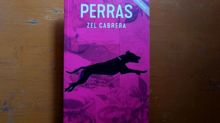 Zel Cabrera y el plano poético de Perras