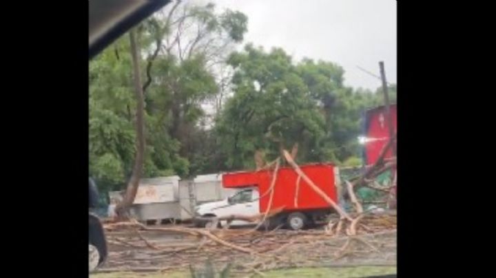 Lluvias en CDMX provocan caída de árboles, encharcamientos y un incendio en Cerro de la Estrella