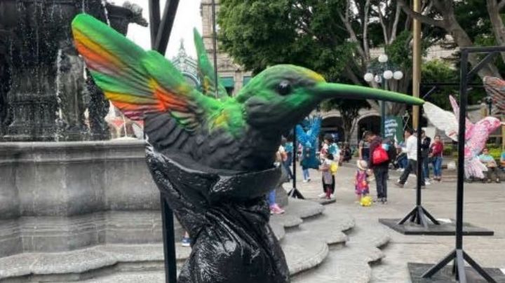 Retiran del Zócalo de Puebla polémica exposición de esculturas de colibrí