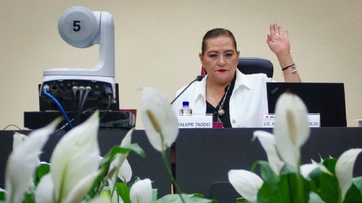 Tribunal Electoral da vía libre a Guadalupe Taddei para que designe a funcionarios del INE