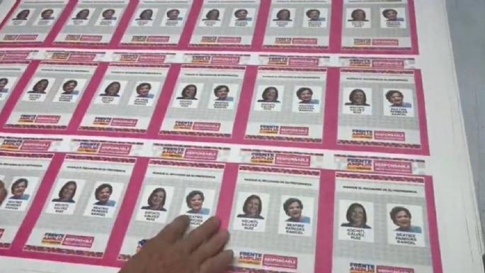 Así son las boletas para elegir candidata presidencial en el Frente Amplio (Video)