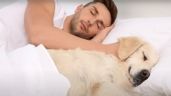 No debes dormir con mascotas, no dejan dormir y pueden dañar tu salud: Instituto del Sueño de España